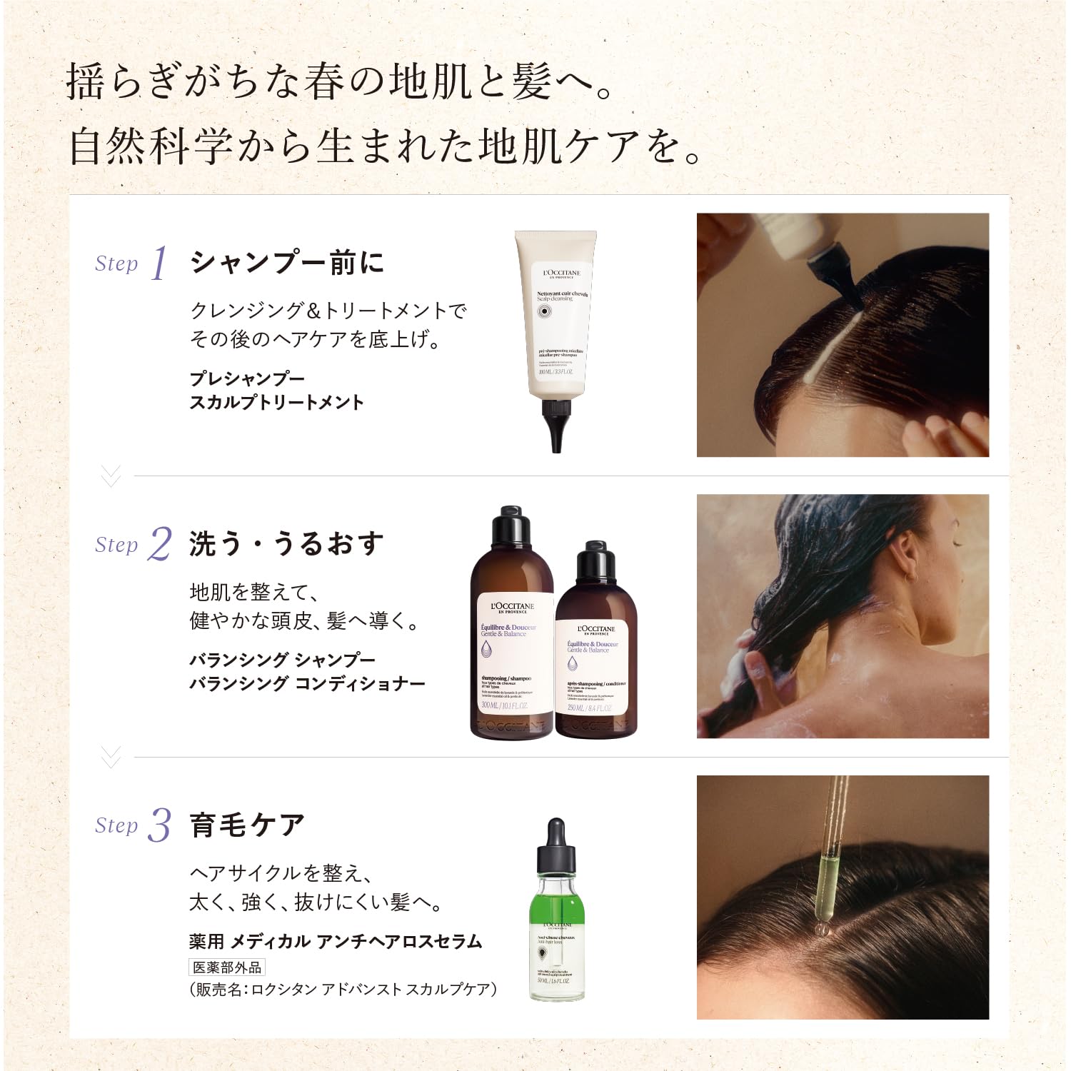 Amazon.co.jp: ロクシタン(L'OCCITANE) バランシング (シャンプー